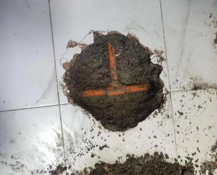梅里斯查漏水多少钱